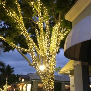 Meet your Posher, Lina